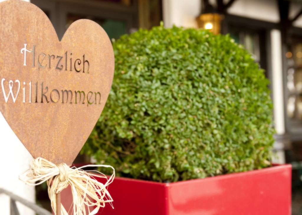 Ringhotel Boemers Mosel Landhotel 阿尔夫 外观 照片